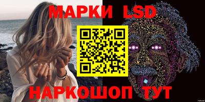 дмт Славгород