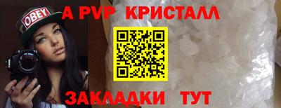 дмт Славгород