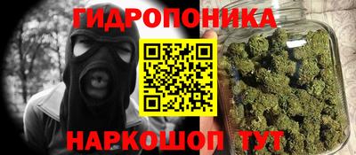 гидропоника Сланцы