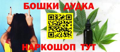 дмт Славгород