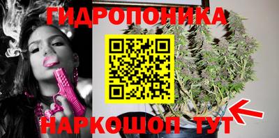 дмт Славгород