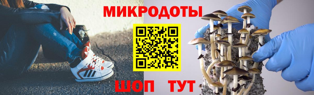 где найти   Вход с VPN  Нурлат  Галлюциногенные грибы Psilocybe 